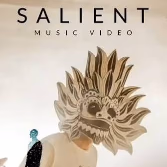 SALIENT gallery image 2