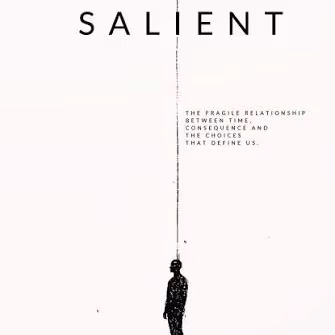 SALIENT gallery image 3